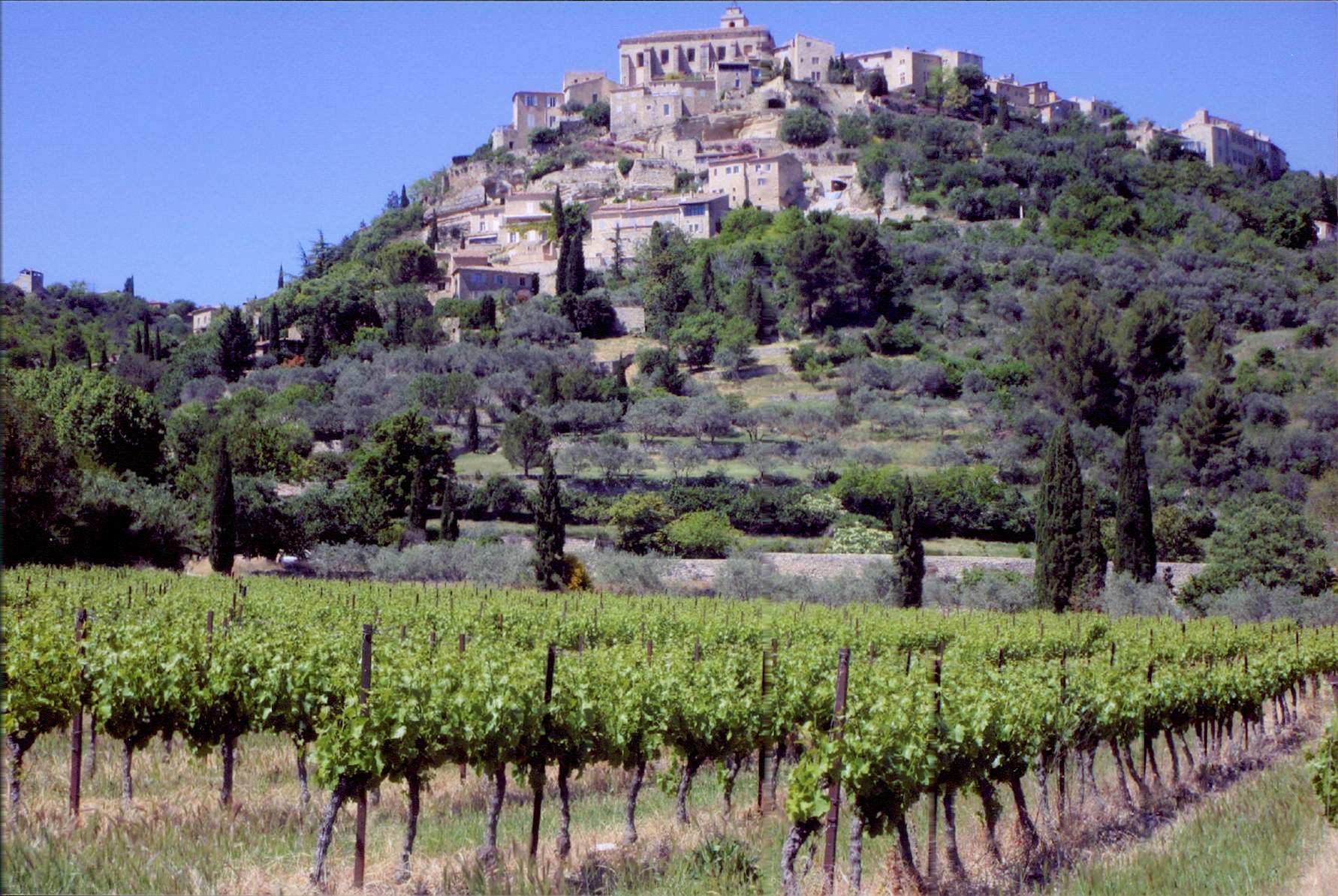 discover provence tours